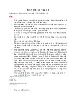 Bài 3 lap trinh ios biến và hằng số