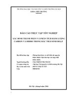 XÁC ĐINH THÀNH PHẦN VÀ PHÂN TÍCH HÀM LƯỢNG CARBON VÀ HIDRO TRONG RÁC THẢI SINH HOẠT