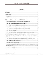 Tiểu luận: Bất cân xứng thông tin trên thị trường chứng khoán ở Việt Nam