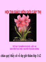 Slide Bài giảng Chủ đề con gà