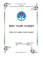 BÀI TIỂU LUẬN NHÓM BỆNH ĐIẾC NGHỀ NGHIỆP