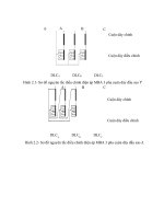 Sơ đồ nguyên lý của mạch điện điều chỉnh điện áp bằng bộ AVR
