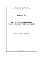 Một số thuật toán tìm phủ trong mô hình dữ liệu dạng khối 