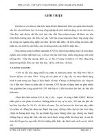 Tiểu luận: Vật liệu nano trong công nghiệp Polymer