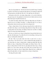 Một số giải pháp nhằm hoàn thiện và phát triển các công ty chứng khoán ở việt nam hiện nay 