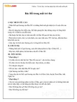 Giáo án mầm non đề tài: Bác Hồ trong mắt trẻ thơ