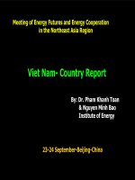 Viet Nam Country Report of energy