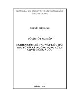 NGHIÊN CỨU CHẾ TẠO VẬT LIỆU HẤP PHỤ TỪ GỖ XÀ CỪ, ỨNG DỤNG XỬ LÝ Cr(VI) TRONG NƯỚC