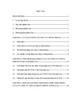 Tiểu luận: Tình hình hoạt động của các công ty chứng khoán tại Việt Nam