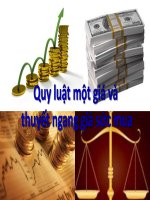 Lý thuyết tài chính tiền tệ   quy luật một giá và ngang giá sức mua (slides)
