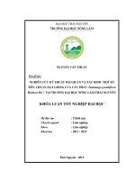 Nghiên cứu kỹ thuật bảo quản và xác định một số tiêu chuẩn hạt giống của cây phay tại trường đại học nông lâm thái nguyên 