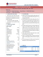 BÁO CÁO PHÂN TÍCH NHANH CÔNG TY CỔ PHẦN SỮA VIỆT NAM