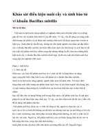 Khảo sát điều kiện nuôi cấy và sinh bào tử vi khuẩn Bacillus subtilis