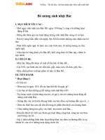 Giáo án mầm non đề tài: Bé mừng sinh nhật Bác