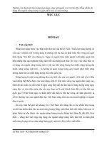 BAI TU LUAN NLMT   LDA