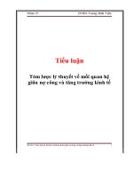 Tiểu luận Tóm lược lý thuyết về mối quan hệ giữa nợ công và tăng trưởng kinh tế