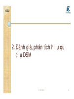 đánh giá phân tích hiệu quả của dsm