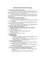 Nội dung chương trình Thể dục Tiểu học