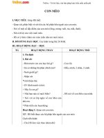 Giáo án Tự nhiên xã hội 1 bài 27: Con mèo