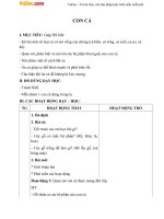 Giáo án Tư nhiên xã hội 1 bài 25: Con cá