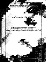 Chiến lược phát triển kinh doanh công ty cổ phần chế tạo thiết bị điện cẩm phả 