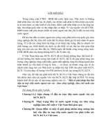 Một số giải pháp thu hút đầu tư trực tiếp nước ngoài vào các khu công nghiệp, khu chế xuất của việt nam 