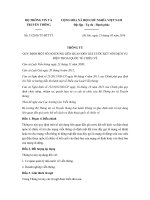 Thông tư 13/2016/TT-BTTTT quy định nội dung liên quan đến giá cước kết nối dịch vụ điện thoại quốc tế chiều về