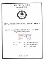 chi phí tài nguyên những vấn đề lý luận và thực tiễn ở việt nam 