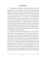 Một số vấn đề về đầu tư phát triển công nghiệp vùng kinh tế trọng điểm bắc bộ 
