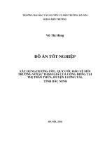 XÂY DỰNG HƯƠNG ƯỚC, QUY ƯỚC BẢO VỆ MÔI TRƯỜNG VỚI SỰ THAM GIA CỦA CỘNG ĐỒNG TẠI THỊ TRẤN THỨA, HUYỆN LUƠNG TÀI,  TỈNH BẮC NINH