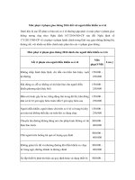 Mức phạt vi phạm giao thông 2016 đối với người điều khiển xe ô tô