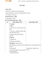 Giáo án Tự nhiên xã hội 1 bài 24: Cây gỗ