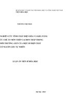 Luận án tiến sĩ hóa học nghiên cứu tính chất điện hóa và khả năng ức chế ăn mòn thép cacbon thấp trong môi trường axit của một số hợp chất có nguồn gốc tự nhiên 