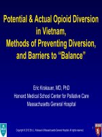 Potential  Actual Opioid Diversion in Vietnam,Methods of Preventing Diversion,and Barriers to “Balance”