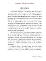 Hoàn thiện bảng cân đối kế toán việt nam