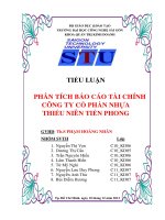 Phân tích báo cáo tài chính công ty cổ phần nhựa thiếu niên tiền phong