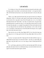 Một số giải pháp nhằm thu hút FDI vào các khu công nghiệp trên địa bàn thành phố hồ chí minh 