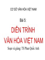 Cơ sở văn hoá Việt Nam Diễn trình văn hoá Việt Nam