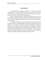 Nghiên cứu về truyền hình màu và thiết kế bộ nguồn ổn áp dải rộng của ti máy thu hình 