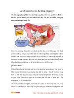 Lợi ích của detox rửa đại tràng bằng nước