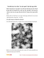 Tìm hiểu loại virus ZIKA "ăn não người" đặc biệt nguy hiểm