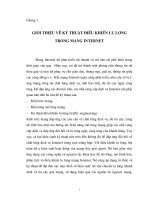 GIỚI THIỆU về kỹ THUẬT điều KHIỂN lưu LƯỢNG trong mạng internet 