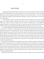Nghiên cứu độc tính và hiệu quả điều trị của viên nang lipidan trong điều trị hội chứng rối loạn lipid máu 