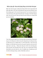 Điều trị tận gốc viêm mũi dị ứng bằng các bài thuốc dân gian