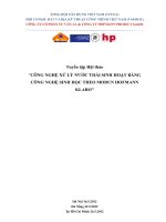 Công nghệ xử lý nước thải sinh hoạt bằng công nghệ sinh học theo modun Hofmann Klaro