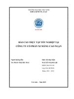 Nguy n l i b2 da sua (1)