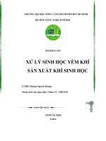 Xử lý sinh học yếm khí