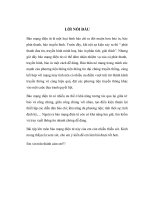 bài tập lớn môn báo mạng  trình bày nguyên tắc viết cho báo mạng (có nêu ví dụ, phân tích)