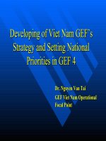Developing of Viet Nam GEF’s Strategy and Setting National Priorities in GEF 4