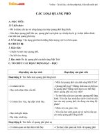 Giáo án Vật lý 12 bài 26: Các loại quang phổ